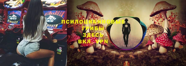амф Лабытнанги